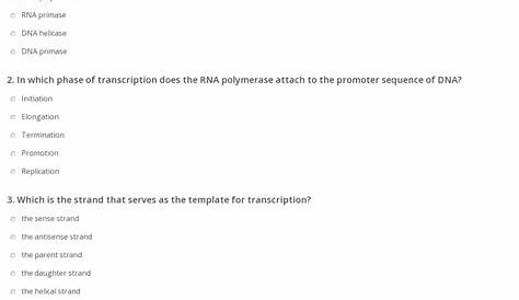 dna transcription worksheet answers