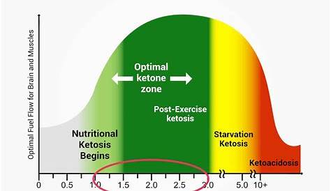 Blood Ketone Levels Type 1 Diabetes - DiabetesWalls