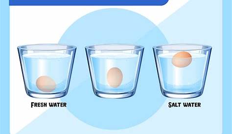 egg float test science experiment