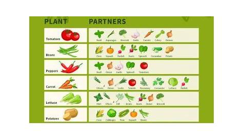 companion plants chart pdf