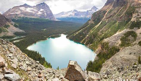 Lake O’Hara Alpine Circuit - Best Canadian Rockies Day Hikes