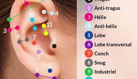 Pin by Nick Wangai on Piercing | Ear piercings chart, Pretty ear