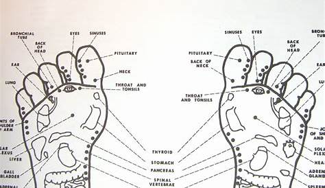 female foot acupuncture points chart
