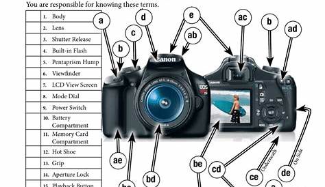 digital camera user guide