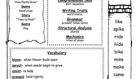 grade 3 social studies worksheets