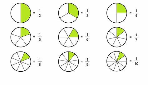 Fraction pie divided into slices fractions Vector Image
