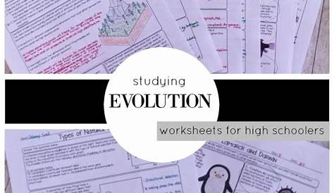 types of evolution worksheet