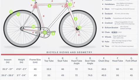 walmart bicycle size chart