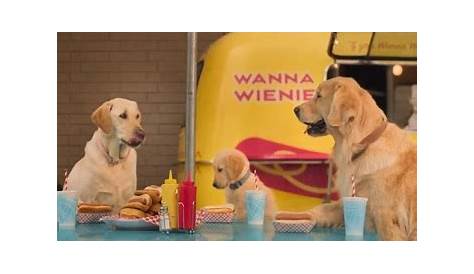 Subaru Crosstrek Commercial: Dogs at Hot Dog Stand