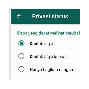 privasi status wa