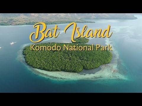 Bat Island | Komodo National Park | Kalong Island | Cinematic Drone Video