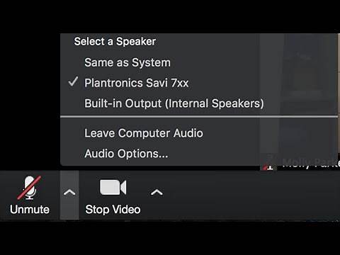 How To Fix Zoom Microphone/Audio Problems on Windows 10