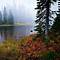 Image result for gifford+pinchot+national+forest+washington