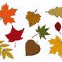 Fall Leaves Printables Free