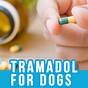 Tramadol Dosage Chart For Dogs