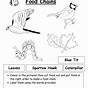 Food Web And Food Chain Worksheet Grade 6