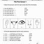 Eye Senses Worksheet For Kindergarten