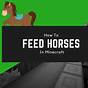 How To Heal Horses Minecraft