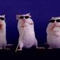 Three Blind Mice Wiki