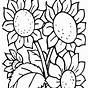Sunflower Coloring Sheets Pdf