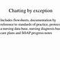 What Is Charting By Exception