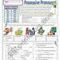 Esl Possessive Pronouns Worksheet