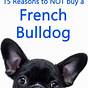 French Bulldog Color Price Chart