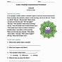 2nd Grade Comprehension Worksheets