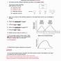 Enzyme Worksheets Answer Key