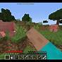 Taming A Wolf Minecraft