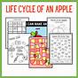 Free Printable Apple Life Cycle Printable