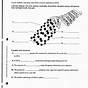 Dna Replication Worksheet 7th Grade