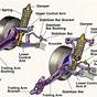 Diagram Car Wheel Parts