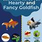 Fish Compatible With Goldfish Chart