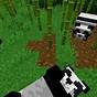 How To Make Pandas Breed In Minecraft
