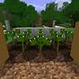 Plants Vs Zombies Mod For Minecraft