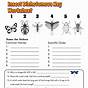 Fish Dichotomous Key Worksheets