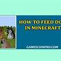 How To Feed Dogs In Minecraft Mobile