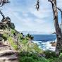Point Lobos Day Trip