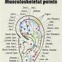 Map Of Acupuncture Points On Ear