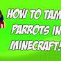 How To Feed Parrots In Minecraft