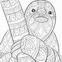 Sloth Coloring Page Printable Free