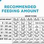 Feeding Chart For Dogs