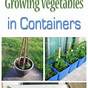 Container Sizes For Growing Vegetables