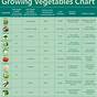 Garden Vegetable Fertilizer Chart