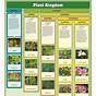 When To Plant Chart