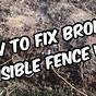 Invisible Fence Wire Type