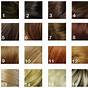 Hair Number Color Chart