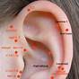Ear Seeds Chart For Weight Loss