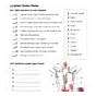 Lymphatic System Review Worksheet Answers